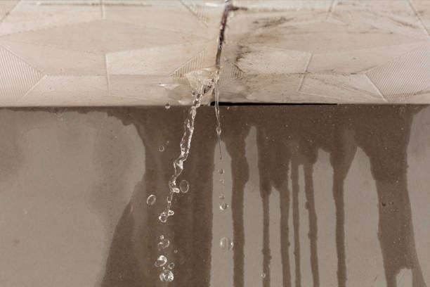Professional Structural Drying technician working in Rarden, OH